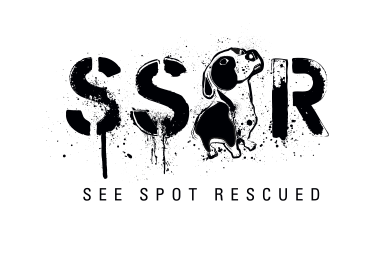 See Spot Rescued