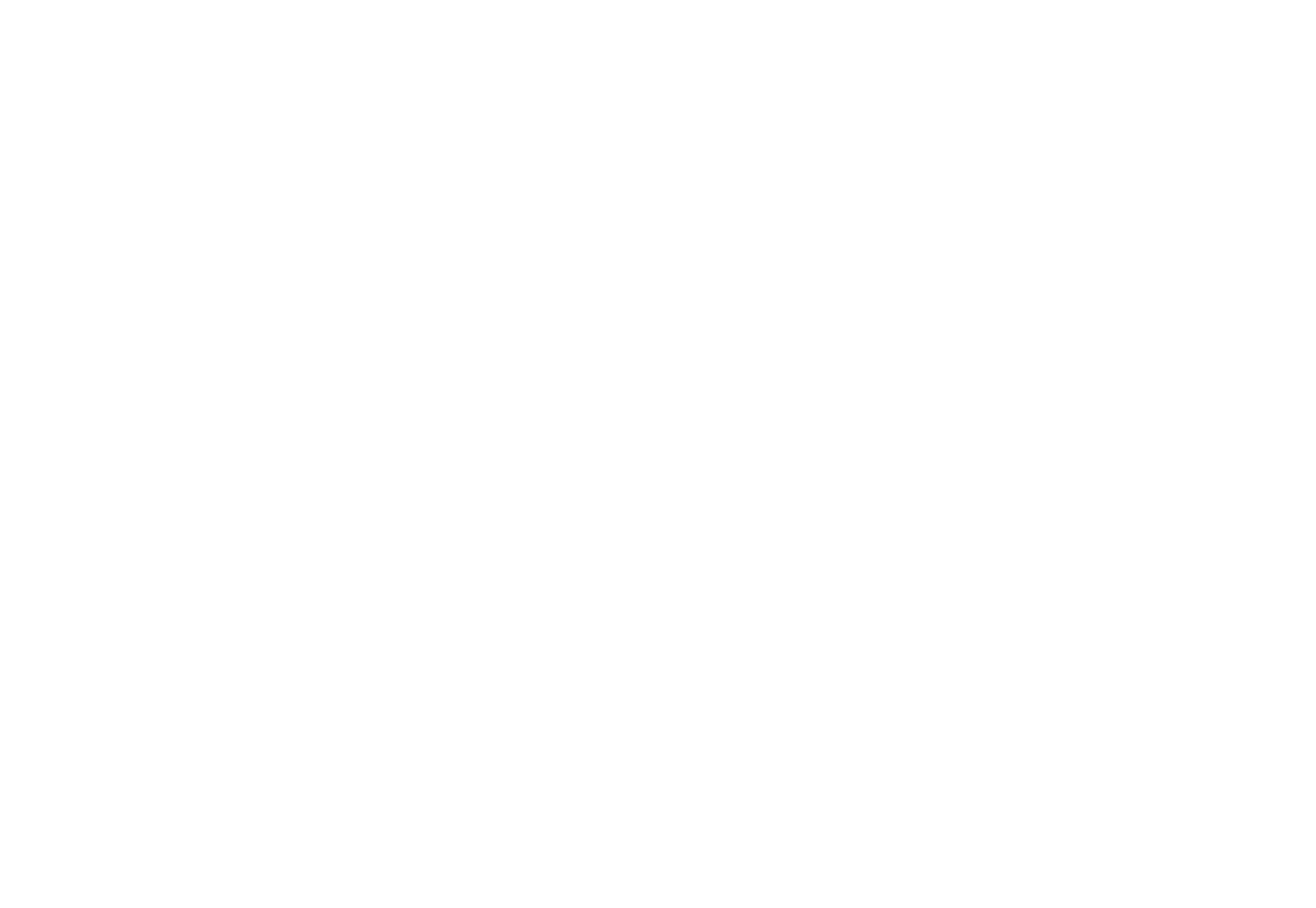 Corgi Spirits